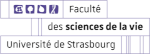 csm_Faculte_Vie_Etroit_Couleur_1a84f5de_55.png